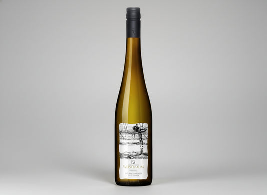 Grüner Veltliner "Ried Stangl", Weingut Weixelbaum 2023